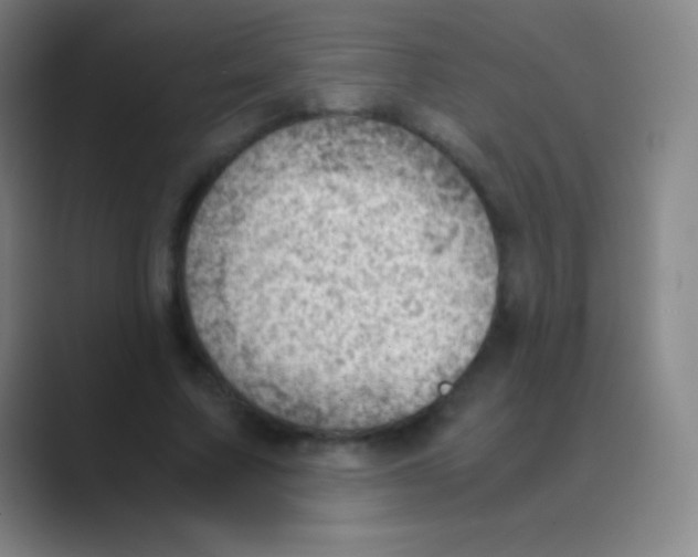 X0000088740683200706282144