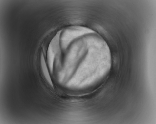 X0000088740684200706282144