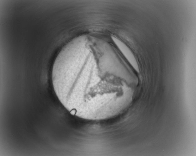 X0000088740687200706282144