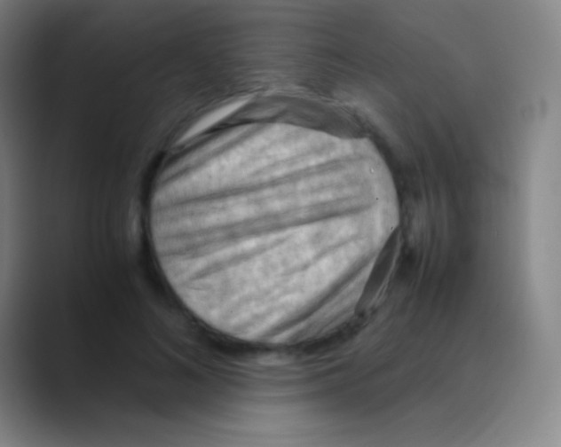 X0000088740692200706282144