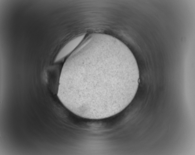 X0000088740693200706282144