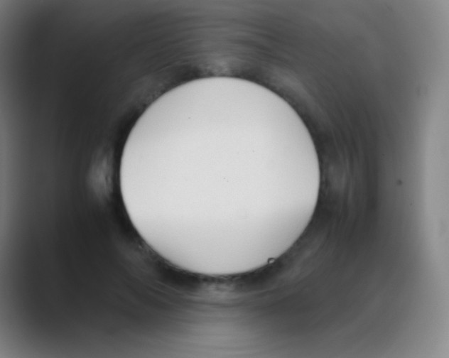 X0000088740694200706282144