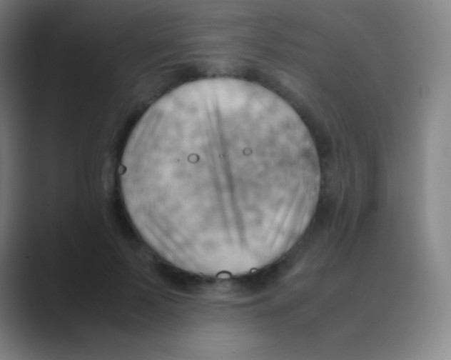 X0000088740695200706282144