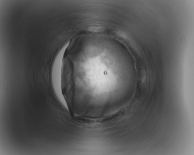 X0000088740696200706282144