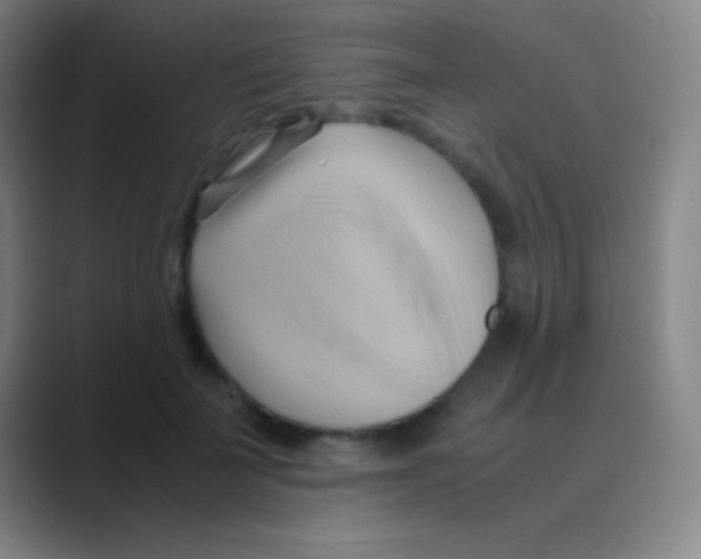 X0000088740699200706282144