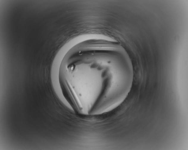 X0000088740704200706282144