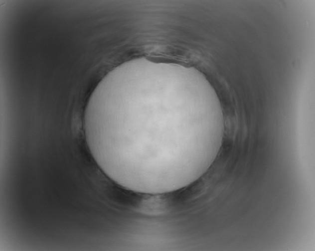 X0000088740705200706282144