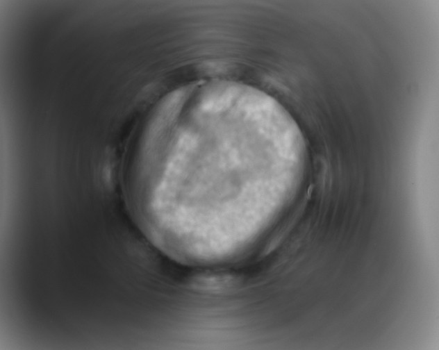 X0000088740712200706282144