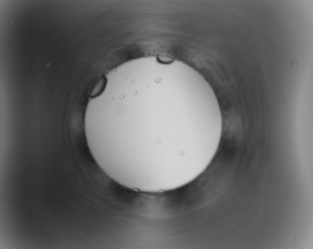 X0000088740713200706282144