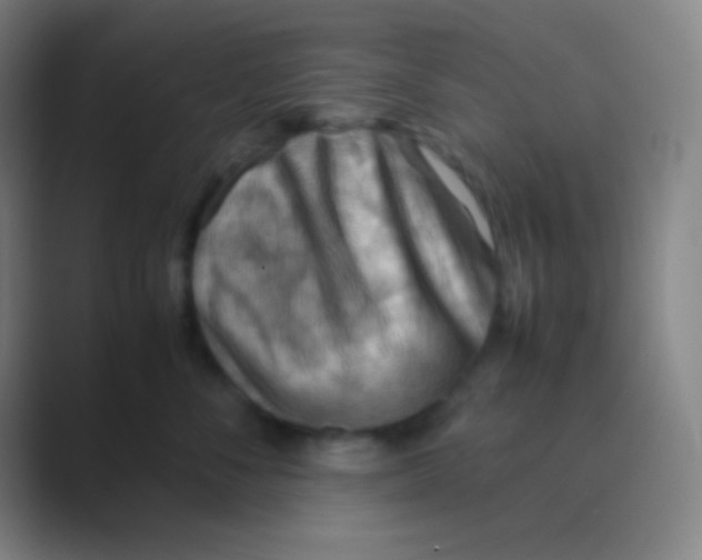 X0000088740716200706282144