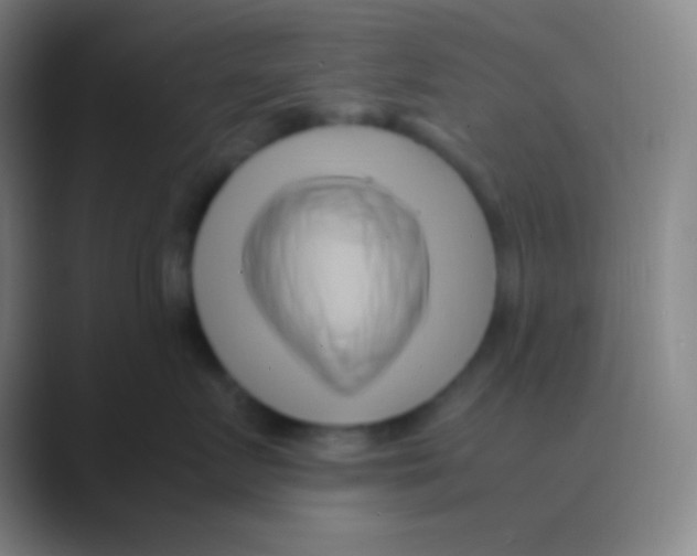X0000088740719200706282144