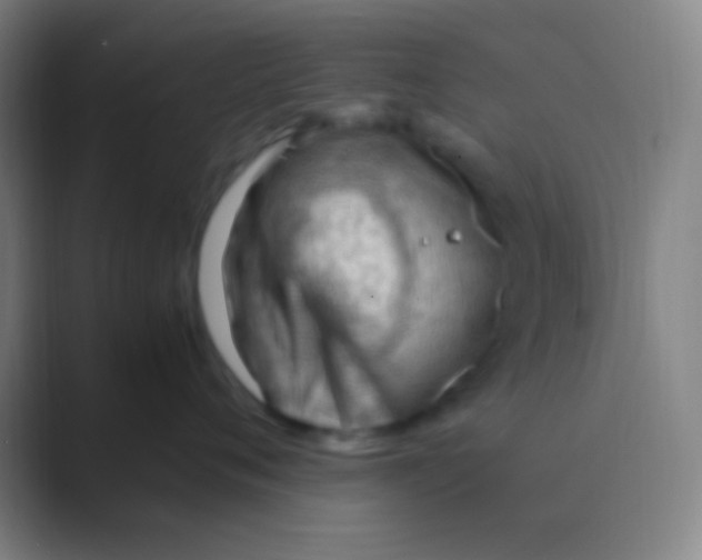 X0000088740720200706282144