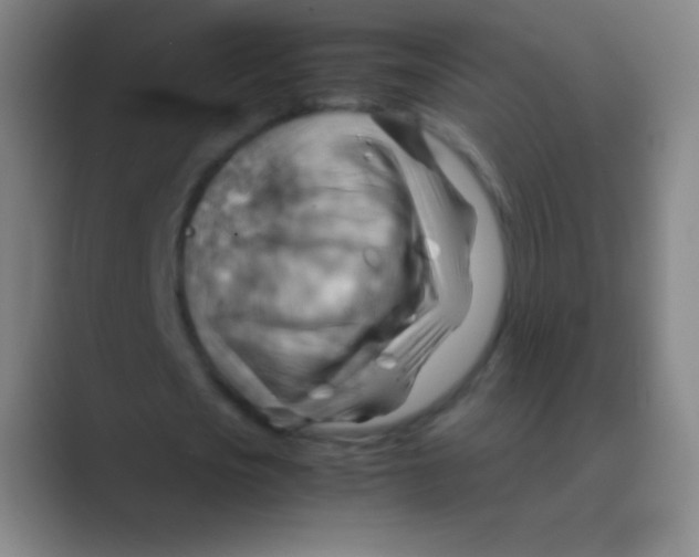 X0000088740721200706282143