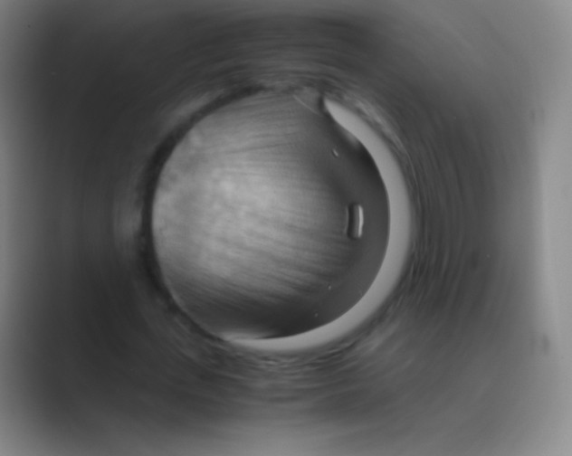 X0000088740723200706282143