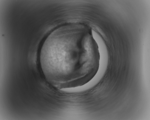 X0000088740724200706282143