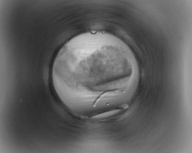 X0000088740725200706282143