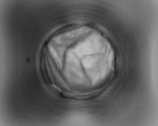 X0000088740726200706282143