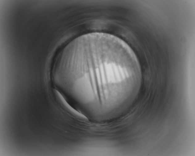 X0000088740727200706282143