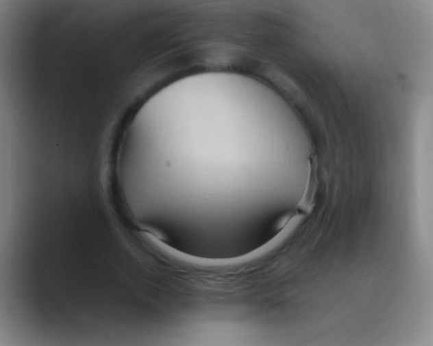 X0000088740728200706282143