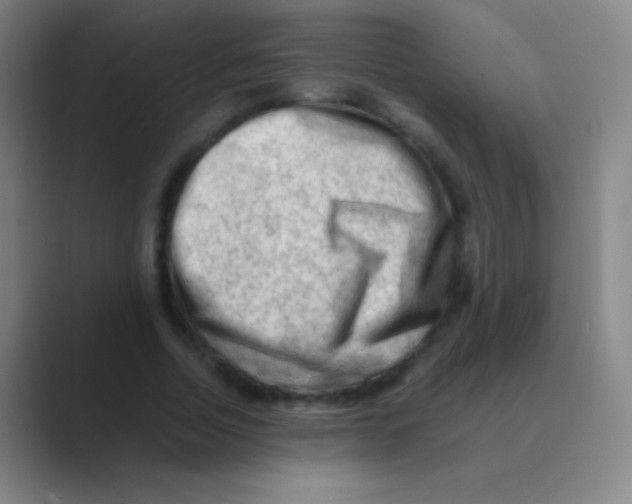 X0000088740730200706282143