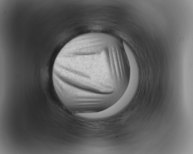 X0000088740731200706282143