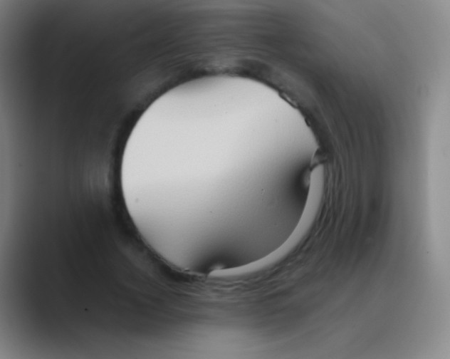 X0000088740732200706282144