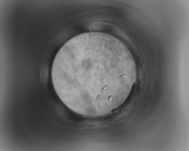 X0000088740733200706282144
