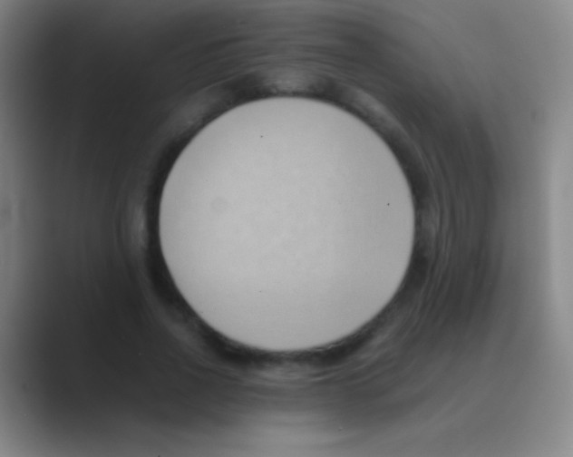 X0000088740734200706282144