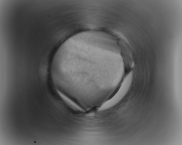 X0000088740736200706282144