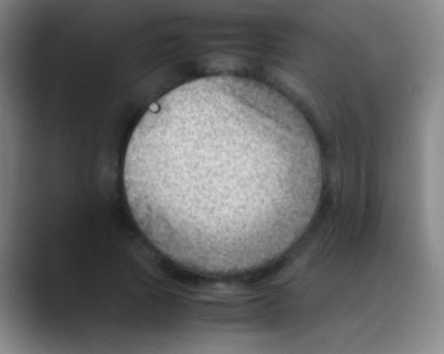 X0000088740737200706282144