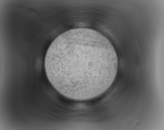 X0000088740741200706282144
