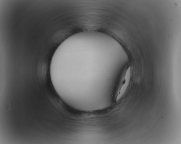 X0000088740742200706282144