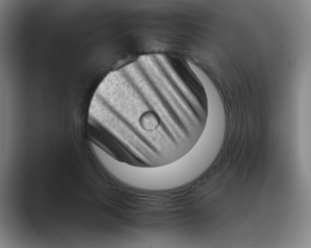 X0000088740743200706282144
