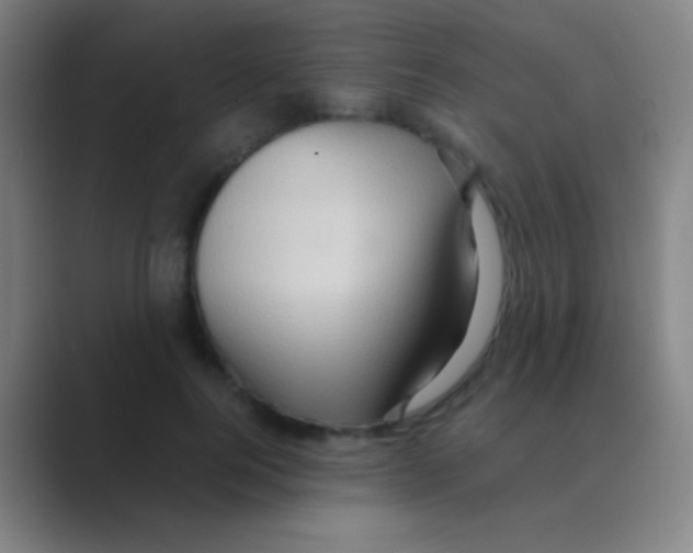 X0000088740744200706282144