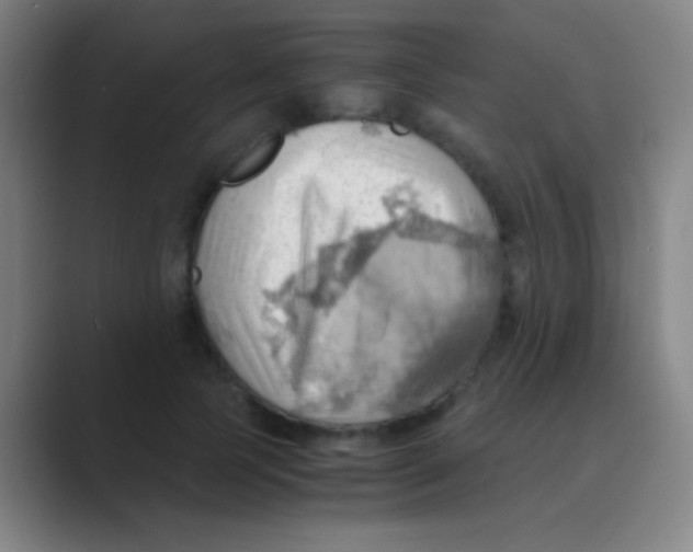 X0000088740745200706282144