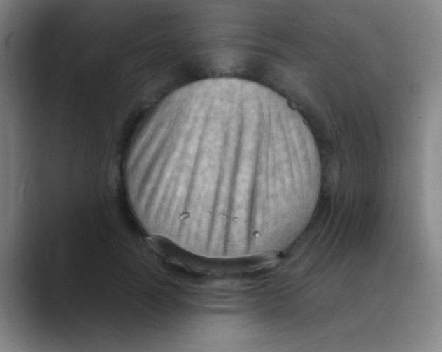 X0000088740746200706282144