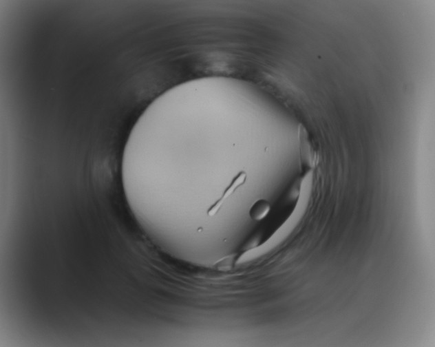 X0000088740747200706282144