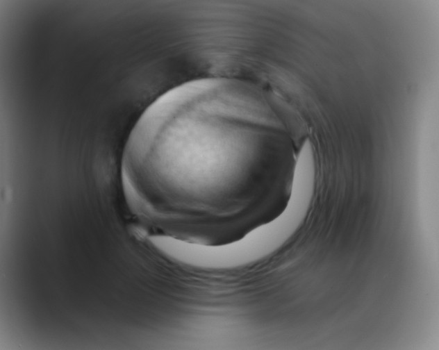X0000088740748200706282144