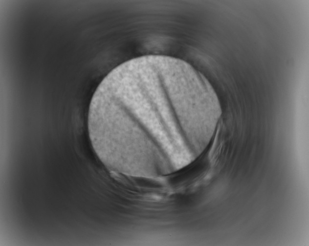X0000088740751200706282144