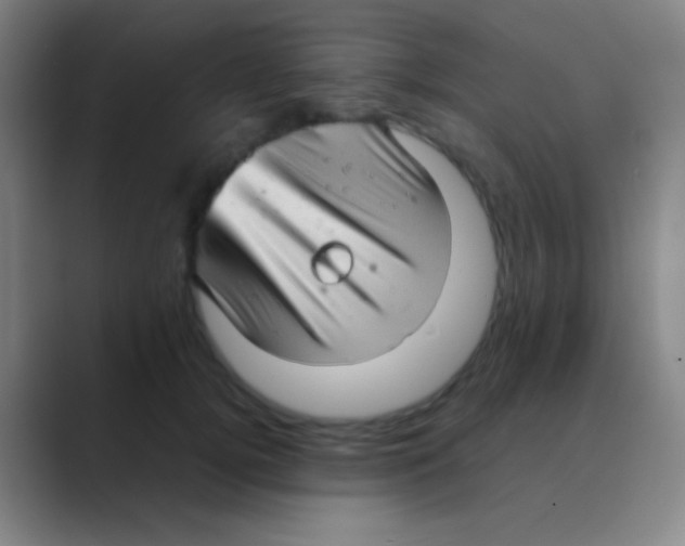 X0000088740752200706282144