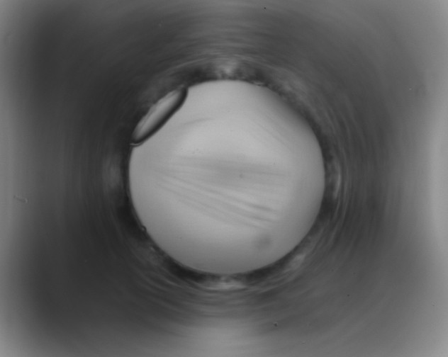 X0000088740754200706282144