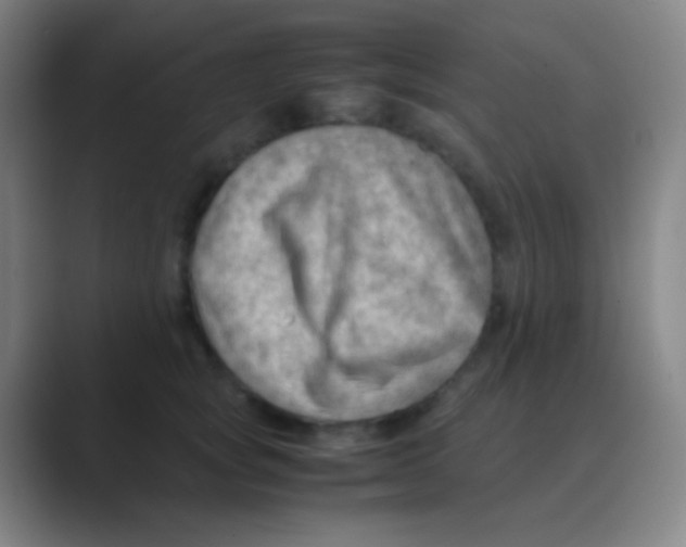 X0000088740757200706282144
