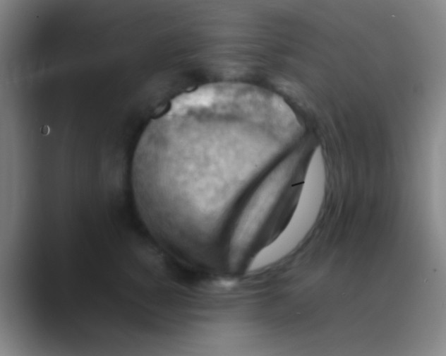 X0000088740760200706282144