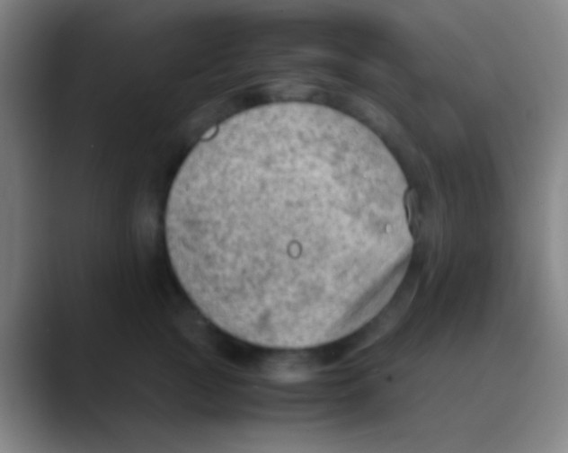 X0000088740761200706282144