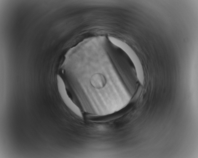 X0000088740763200706282144
