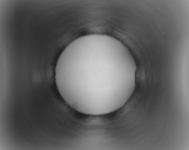 X0000088740764200706282144