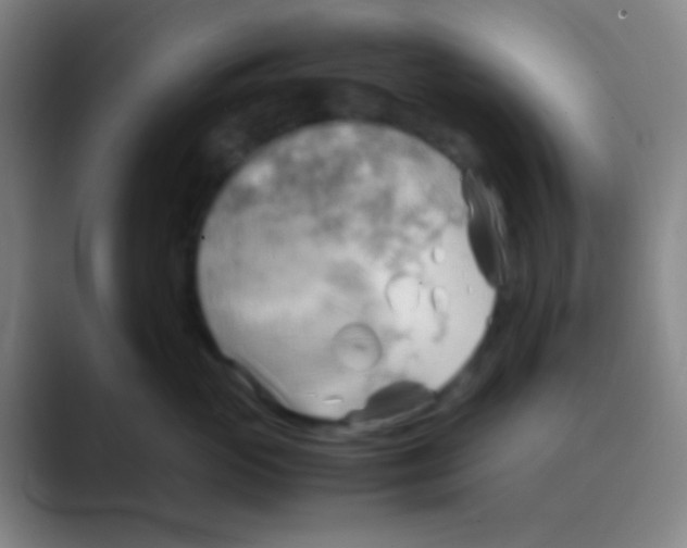 X0000088740765200706282144