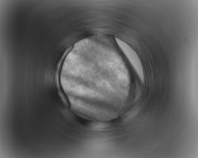X0000088740766200706282144