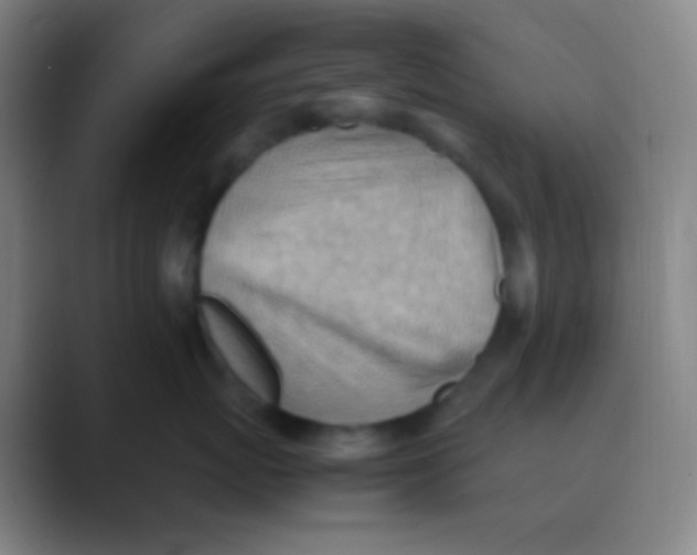 X0000088740767200706282144