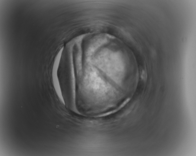 X0000088740771200706282143